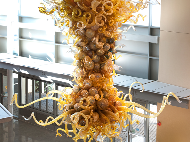 A glass sculpture by Dale Chihuly hanging in Veterinary Medicine's Valley Hall